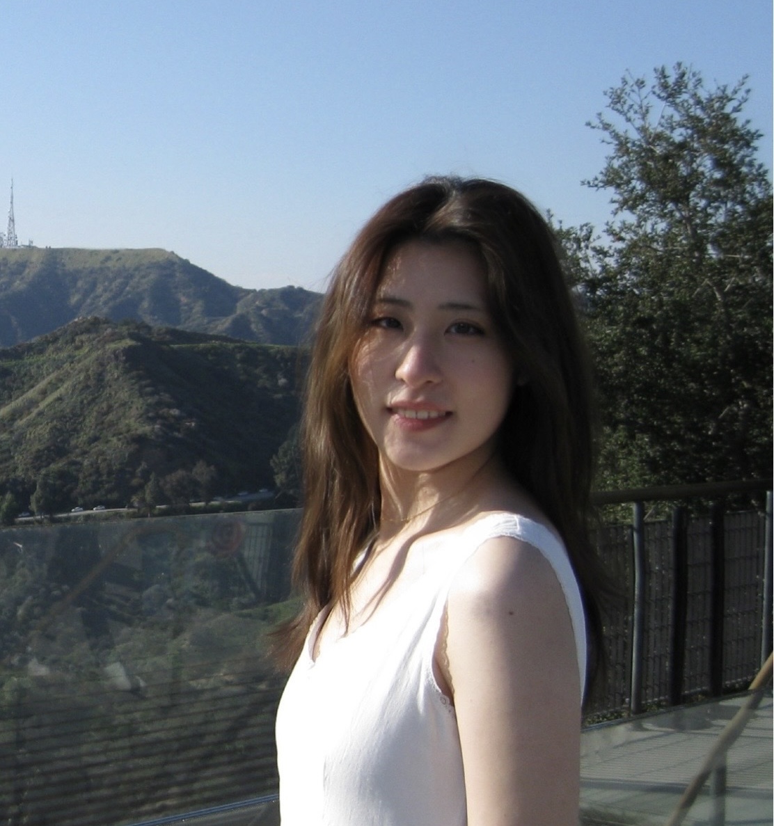 Ruoyun Li